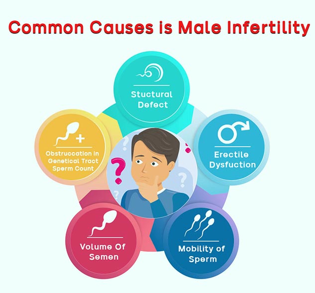 Secondary Infertility In Males What Is It Triggers And Tips To Manage Onlymyhealth 