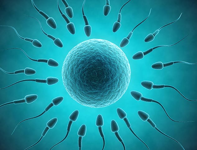 Secondary Infertility In Males What Is It Triggers And Tips To Manage Onlymyhealth