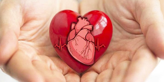 Inside1_Highcholesterolandheartattack