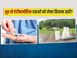 एंटीबायोटिक दवाओं को दूध के साथ खाना कितना सही? जानें डॉक्टर से