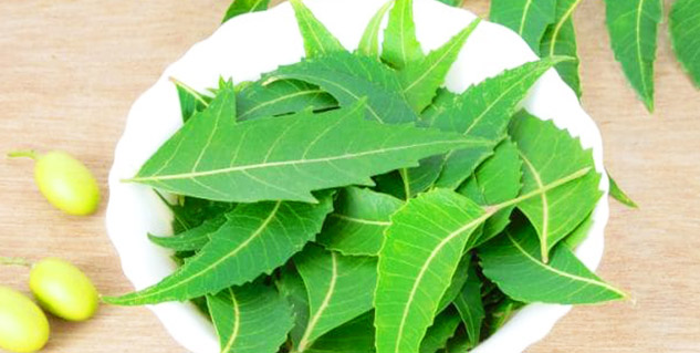 neem