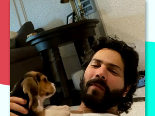 वरुण धवन ने बढ़ाया 'Fatherhood' की तरफ कदम, जानें मेंटल हेल्थ पर कैसे असर डालते हैं पालतू जानवर