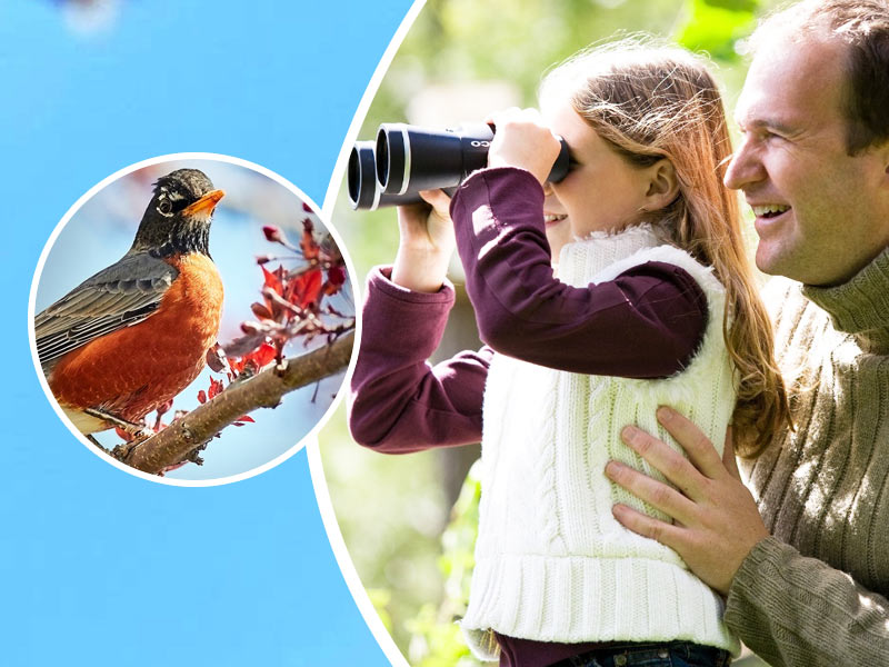 Port Said Bird-Watching Festival Takes Flight