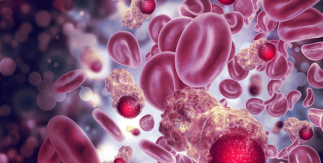 cencer cells