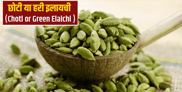 choti elaichi