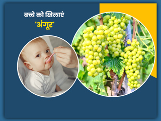 शिशुओं और बच्चों को अंगूर खिलाने के 6 फायदे, जानें शरीर के विकास में कैसे है फायदेमंद