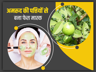 कील, मुहांसों और झाइयों को कम करेगा अमरूद की पत्तियों से बना ये 2 फेस मास्क, जानें बनाने का तरीका