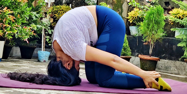 Pincha mayurasana – Feather Peacock Pose - School of Yoga