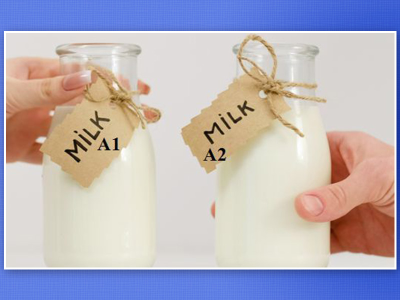 Everything You Need to Know About A2 Milk