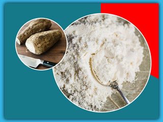 अरारोट किस तरह किया जाता है तैयार? जानें इसके इस्तेमाल के 9 फायदे और नुकसान