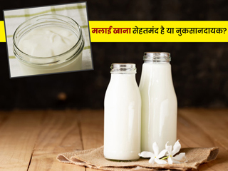 मलाई खाना सेहतमंद है या नुकसानदायक? कंफ्यूज हैं तो एक्सपर्ट से जानें इससे जुड़े 6 सवाल-जवाब