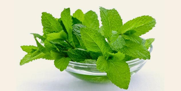 mint-to-trat-appendix-pain