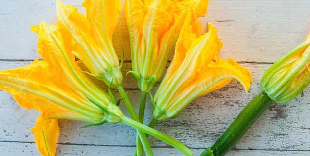 Health-Benefits-of-Pumpkin-Flower
