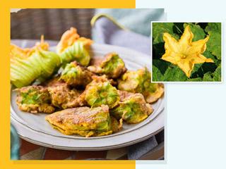 सेहत के लिए कद्दू के फूल का सेवन है बहुत फायदेमंद, जानें डाइट में कैसे करें शामिल