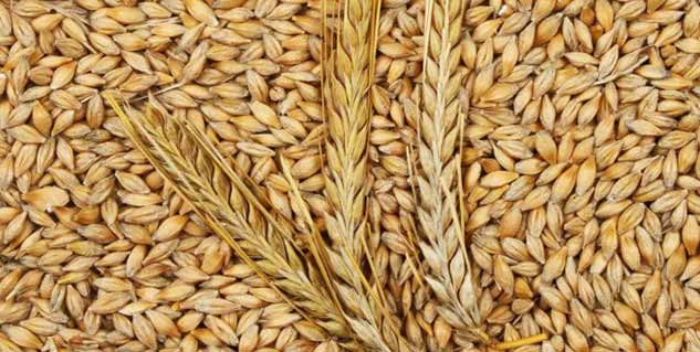 Barley-Water-for-Body-Detox-Benefits
