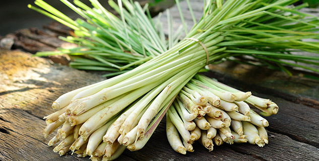 lemongrass herb for stomach pain