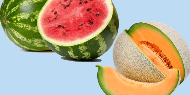 watermelon or maskmelon