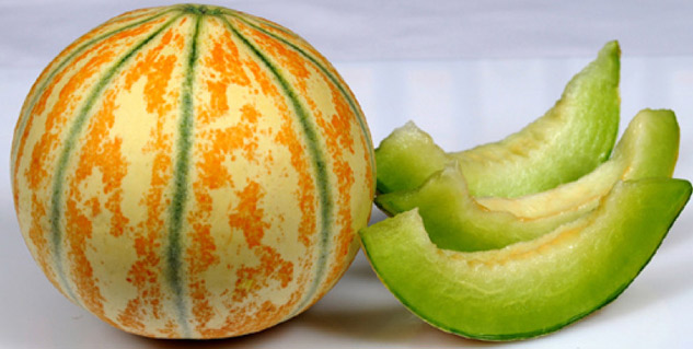maskmelon