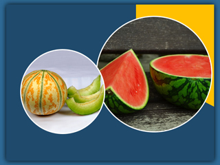 तरबूज या खरबूजा क्या है ज्यादा फायदेमंद? क्या दोनों को साथ खाया जा सकता है?