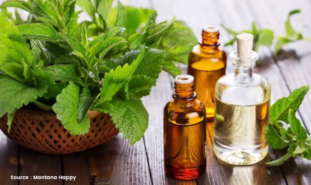 Home-Remedies-for-Ear-Pain-Due-to-Infection