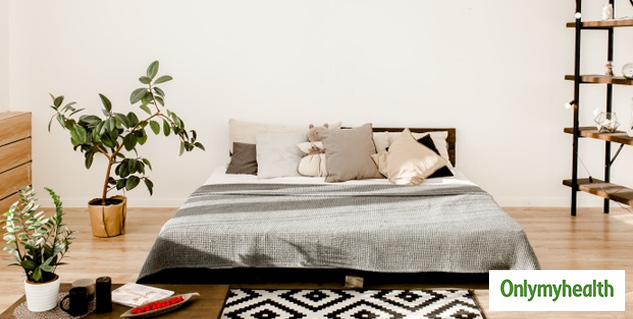 health benefits of indoor plants