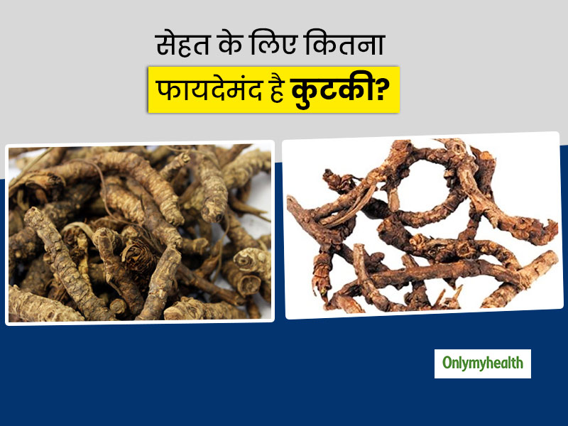 Picrorhiza kurroa/Kutki: सफेद दाग को ठीक करे आयुर्वेदिक जड़ी बूटी 'कुटकी', जानें इसके 10 फायदे और 5 नुकसान
