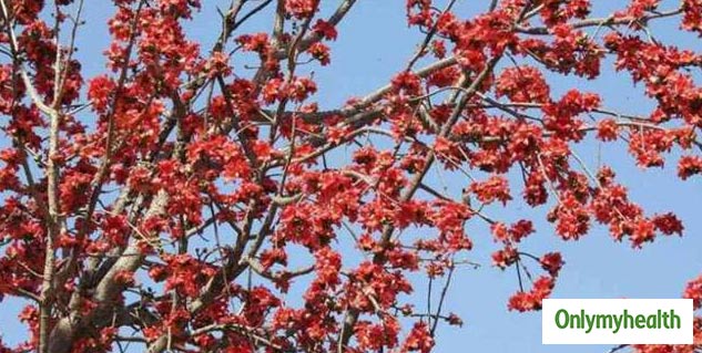 Inside4 (41)_palashkephool