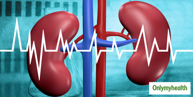 kidney should be healthy