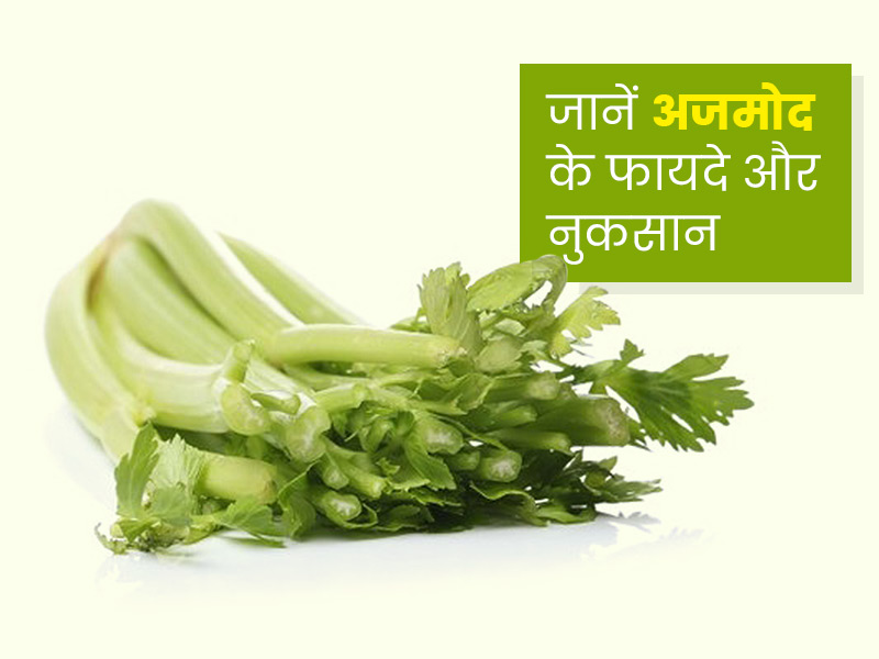 Celery leaves hotsell in hindi