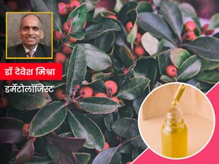 त्वचा में जलन, सूजन, मासंपेशियों में दर्द जैसी समस्याओं को दूर करने के लिए जानें विंटर ग्रीन ऑयल के 5 फायदे 