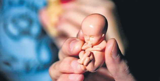 Inside1_MTPamendmend2020