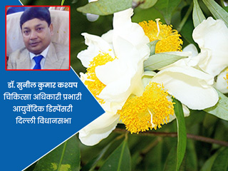 कई रोगों के इलाज में फायदेमंद होती है जड़ी-बूटी नागकेसर, आयुर्वेदाचार्य से जानें इस औषधि के फायदे, नुकसान
