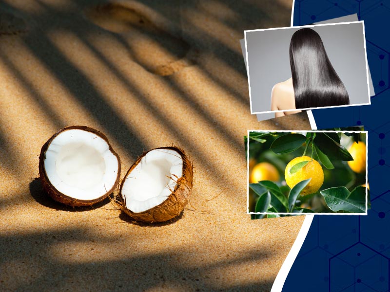 बालों की मजबूती और लंबाई बढ़ाने के लिए ऐसे करें नारियल तेल और नींबू के रस का प्रयोग, जानें इसके 6 फायदे
