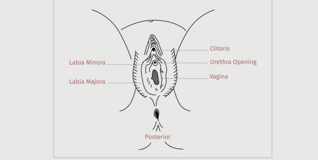 Inside3_Femalemutilation