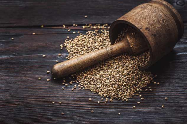 hemp seeds