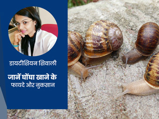 घोंघा (Snail) खाने से सेहत को मिलते हैं ये 5 फायदे, डाइटीशियन से जानें कुछ नुकसान भी
