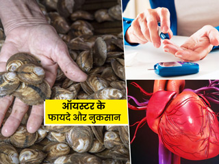 ऑयस्टर खाने से शरीर को होते हैं ये 5 फायदे, जानें इसके कुछ नुकसान भी