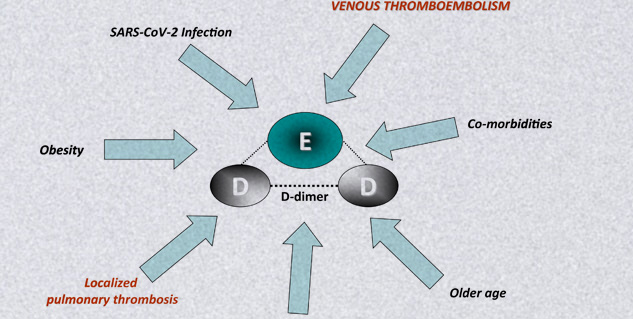 d dimer quant