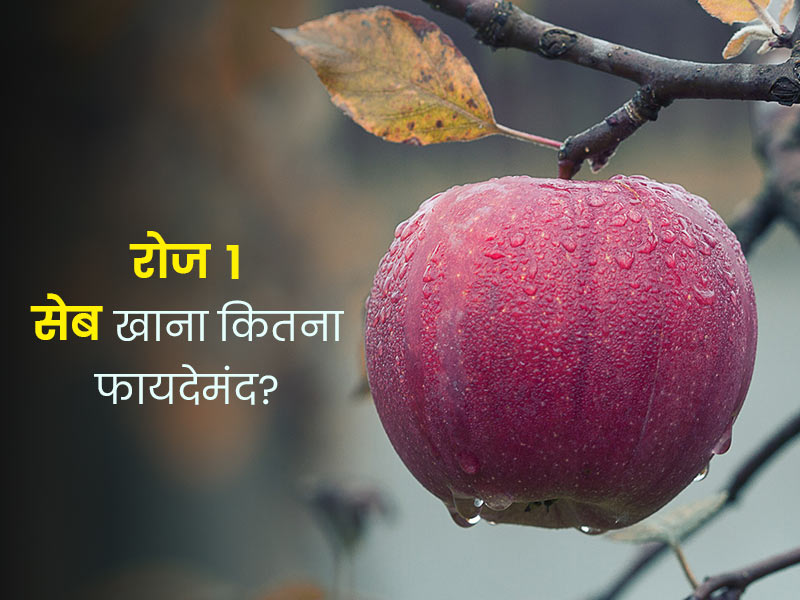 क्या सच में रोजाना एक सेब खाकर हर तरह की बीमारियों से बचा सकता है? जानें सेब कितना हेल्दी होता है