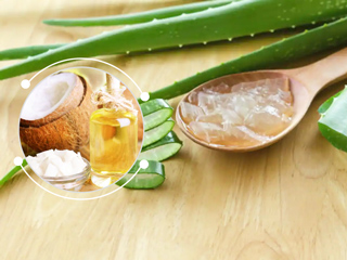 Hair Care : एलोवेरा और नारियल तेल एक साथ लगाने से बालों और स्किन को मिलेगा दोगुना फायदा