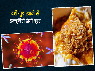 कोरोनाकाल में इम्यूनिटी बढ़ाए दही और गुड़, रोजाना खाने के बाद जरूर करें इसका सेवन