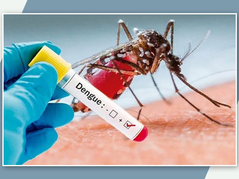 National Dengue Day 2021: Different Kinds of Dengue Infections and Their Mode of Transmission