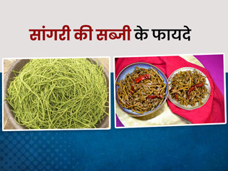 सांगरी (राजस्थानी सब्जी) से आपकी सेहत को मिलते हैं ढेर सारे फायदे, जानें इसके 5 लाभ और बनाने की रेसेपी
