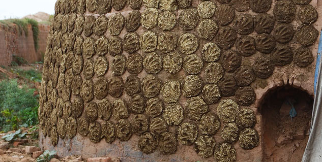 Inside3_Cowdungtherapy