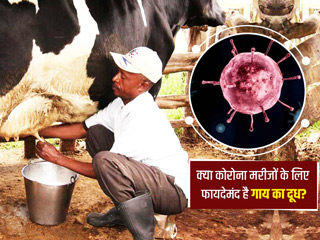 कोरोना को हराने में चीन ले रहा दूध का सहारा, एक्सपर्ट से जानें क्या सच में फायदेमंद है दूध