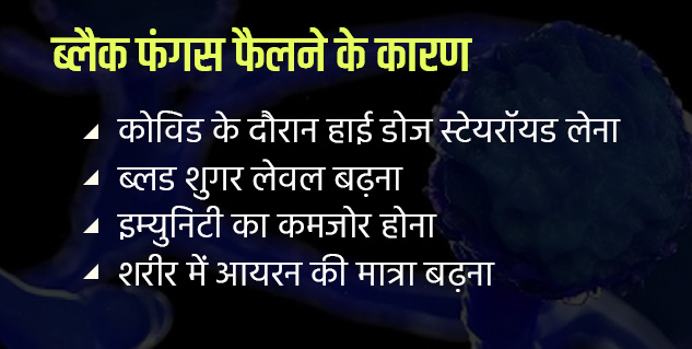 inside11_Blackfungusinhindi