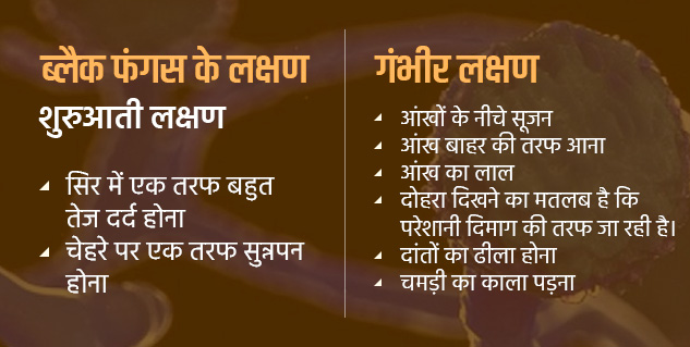 inside12_Blackfungusinhindi