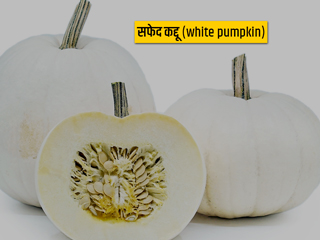 White Pumpkin: सफेद कद्दू का सेवन इन 7 कारणों से है सेहत के लिए फायदेमंद, साथ ही जानें कुछ नुकसान