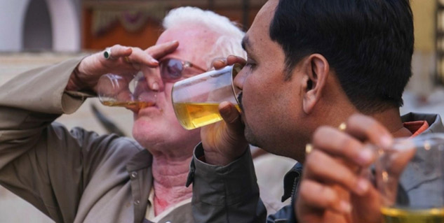 Inside1drinkingcowurine