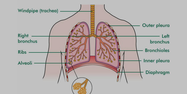 Inside4_postcovidchesttherapy